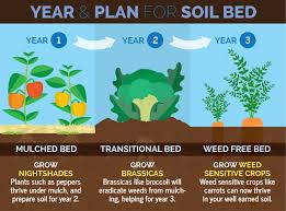 three year crop rotation plan fix com