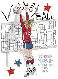 The very first thing you should do is look over the whole thing and make sure you know what all of the little symbols. Volleyball By Stoney Creek Cross Stitch Patterns Cross Stitch Cross Stitch Embroidery