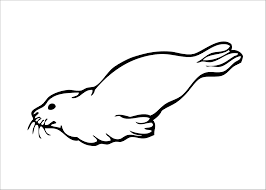 Daisies and pie inspirational sheets. Baby Seal Coloring Page Coloringbay