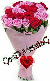 500 Ezone Ideas Good Morning Good Morning Wishes Morning Wish Find & download free graphic resources for good morning. 500 ezone ideas good morning good