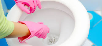 Plus the borax and vinegar never mixed real well and separated if i let it sit for more than a minute. How To Effectively Remove Stains From Toilet Bowl Fantastic Services Blog Aus