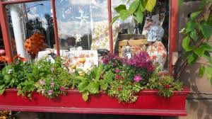 Summer, fall, winter, and spring window box ideas, decorations, and plants. Window Box Ideas For All Seasons With Photos Dengarden