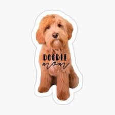 Free shipping on orders over $25 shipped by amazon. Australian Labradoodle Stickers Redbubble