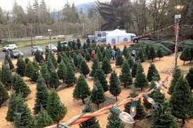 Check spelling or type a new query. U Cut And Pre Cut Christmas Trees Around The Snoqualmie Valley Snoqualmie Valley Record
