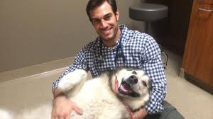 The center for bird and exotic animal medicine. Sexy Exotic Animal Veterinarian Driving The Internet Wild Abc News