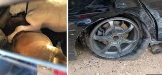 Rasanya mesti ramai yang pernah alami pengalaman tayar kereta pancit semasa memandu kan. Tayar Pancit