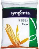 The best price of nk30/30 ina and high quality service will be offered. Corn Syngenta