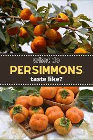 Persimmons also have a little hint of cinnamon that comes through. What Do Persimmons Taste Like Do Persimmons Taste Chalky Persimmons Tasting Superfruit