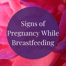 How To Recognize The Signs Of Pregnancy While Breastfeeding Wehavekids
