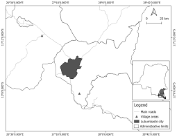 Image result for Ochna katangensis