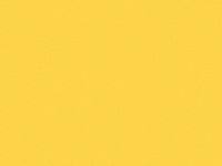 By rp 72000 background kanvas polos kuning. 70 Ide Background Kuning Kuning Gambar Latar Belakang
