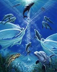 Angel Realm 57 Bringing Heaven To Earth Dolphin Art Dolphins Whale