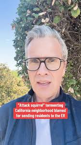 A squirrel is tormenting residents in a San Rafael neighborhood, with many  dubbing it an "attack squirrel" seeking food. The squirrel terrorizing  Lucas Valley Road has attacked at least five people, ...