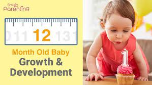 11 Month Old Baby Development Activities Care Tips Youtube
