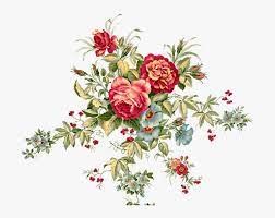 Vintage floral background | oh so nifty vintage graphics. Transparent Flores Y Pajaritos Vintage Png Vintage Floral Pattern Png Png Download Transparent Png Image Pngitem
