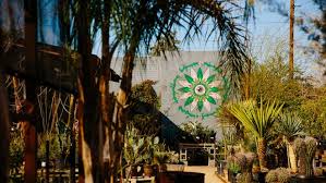 Check spelling or type a new query. Earth Day 2021 Here Are Tips For Starting A Home Garden In Arizona