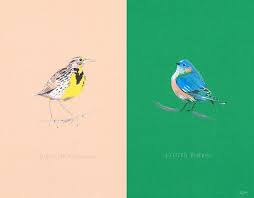 Birds Of Western New York State State Birds Oregon Western Meadowlark And New York Eastern Bluebird State Birds Birds Eastern Bluebird