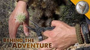 I always enjoy this show. Ouch Jumping Cactus Attack Youtube