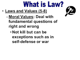 Laws And Values 5 8 Goals Of Legal System Protecting Basic Human Rights Promoting Fairness Helping Resolve Conflicts Promoting Order And Stability Ppt Download