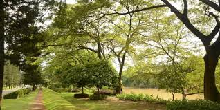 Bekasi merupakan ✅ bagian dari provinsi jawa barat. 17 Tempat Wisata Di Bekasi Yang Wajib Dikunjungi Tempatwisataunik Com