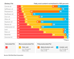 the brain benefits of omega 3 fats moxdirect com moxxor