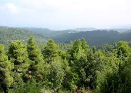 We did not find results for: Boreia Eyboia