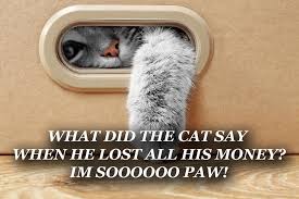 Check spelling or type a new query. Over 89 Clean Cat Jokes For Kids Of All Ages Weird World