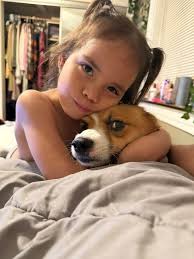 Lost Dog Benji in Princeton Heights Neighborhood, St. Louis, MO