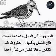 أقوال غيرت العالم toop quotes instagram photos and videos wisdom quotes life wisdom quotes inspiration circle quotes