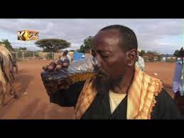 Some people believe the mers virus outbreak is being spread by muslims drinking camel urine, or by using camel byproducts as part of foods, cosmetics, and other products commonly sold in the middle east. Residents Of Wajir Believe Camel Urine Has Medicinal Value Youtube