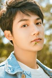 It stars zhao liying, feng shaofeng and zhu yilong. 2018 S Top 5 Hottest Rising Chinese Actors That You Need To Know Soompi