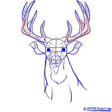 How To Draw A Realistic Deer Step 5 Deer Drawing Deer Drawing Easy Animal Sketches