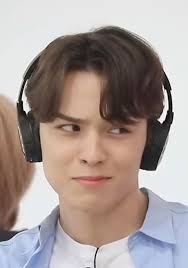 Dezessete bandeiras bege de membros : r/seventeen