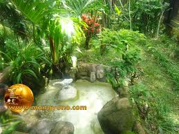 Biasanya binatang yang satu ini disimpan di dalam aquarium kaca atau di dalam kolam yang terletak. Kolam Mungil Depan Rumah Mang