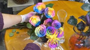 Check spelling or type a new query. Easy Way To Make Rainbow Roses Youtube