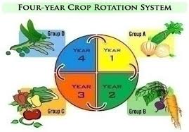 The Importance Of Crop Rotation