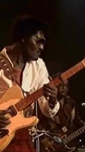 Image result for Albert Collins