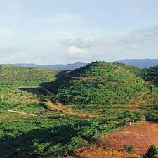 Sekiranya anda, seorang warganegara malaysia yang cukup syarat kelayakan dan berumur tidak kurang daripada 18 tahun pada tarikh tutup iklan jawatan adalah dipelawa untuk memohon bagi mengisi. Koperasi Ladang Berhad