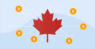 Choose bitcoin or another cryptocurrency you want to buy. Canada Cryptocurrency Taxes The Complete 2020 Guide Cryptotrader Tax