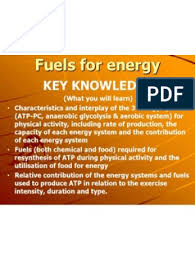 We did not find results for: Chapter 5 Energy Systems Food Fuels Glycogen Adenosine Diphosphate