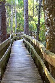 Lutz lake fern loop is a 3.1 mile out and back trail located near odessa, florida that offers the chance to see wildlife and is rated as moderate. Pinellas County Florida Brooker Creek Preserve Florida Vacation Tarpon Springs Florida Florida Travel