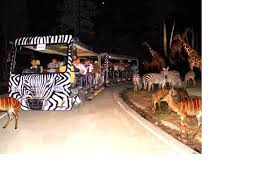 Come late in the afternoon, before the night safari, to enjoy the excellent children's playground. Chiangmai Night Safari Things To Do In Chiang Mai Thailand Hisgo Nepal