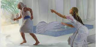 Pin On I Am A Jehovah S Witness Jw Org