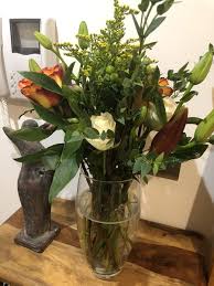 Cat friendly flowers bloom and wild. Anyone Using Freddie S Flowers Or Similar Mumsnet