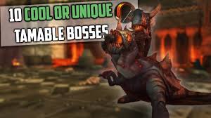 #bmhunter #exoticpets #onthehunt ■■■■■■■■■■■ want to support me? 10 Cool Or Unique Tamable Bosses For Hunter Pets In Wow And How To Get Them Youtube