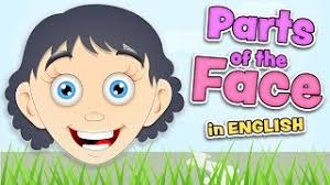 To see a face, whether god's face or a human face, is an intimate experience. Parts Of The Face English For Kids Youtube