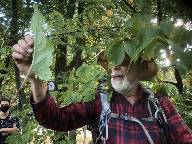 Wildman Steve Brill Foraging Tours