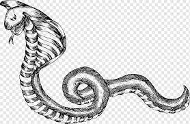 Tafsir mimpi berhubungan badan dengan suami orang, kumpulan arti mimpi selingkuh. Black And White Snake Mixed Animals Monochrome Fictional Character Png Pngwing