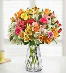 24/7 customer service · 2018 stevie silver winner · same day delivery Amazon Com 1800flowers Roses Peruvian Lilies Bouquet With Clear Glass Vase Single Bouquet 16 Stems Grocery Gourmet Food