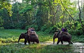 Bardiya